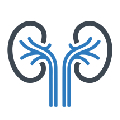 NEPHROLOGY